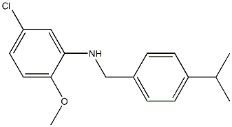 5-chloro-2-methoxy-N-{[4-(propan-2-yl)phenyl]methyl}aniline 结构式