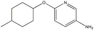 6-[(4-methylcyclohexyl)oxy]pyridin-3-amine 结构式