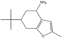 6-tert-butyl-2-methyl-4,5,6,7-tetrahydro-1-benzofuran-4-amine 结构式