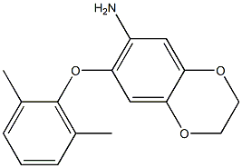 7-(2,6-dimethylphenoxy)-2,3-dihydro-1,4-benzodioxin-6-amine 结构式