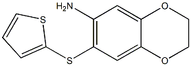 7-(thiophen-2-ylsulfanyl)-2,3-dihydro-1,4-benzodioxin-6-amine 结构式