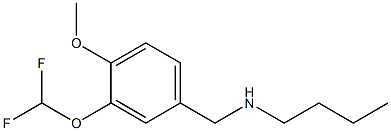 butyl({[3-(difluoromethoxy)-4-methoxyphenyl]methyl})amine 结构式