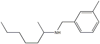 heptan-2-yl[(3-methylphenyl)methyl]amine 结构式