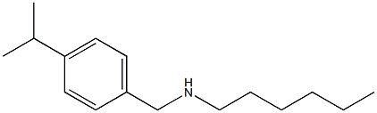 hexyl({[4-(propan-2-yl)phenyl]methyl})amine 结构式