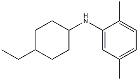 N-(4-ethylcyclohexyl)-2,5-dimethylaniline 结构式