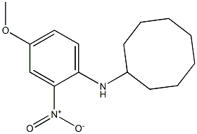 N-(4-methoxy-2-nitrophenyl)cyclooctanamine 结构式