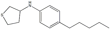 N-(4-pentylphenyl)thiolan-3-amine 结构式