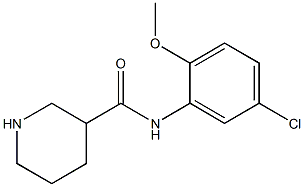 N-(5-chloro-2-methoxyphenyl)piperidine-3-carboxamide 结构式