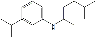 N-(5-methylhexan-2-yl)-3-(propan-2-yl)aniline 结构式