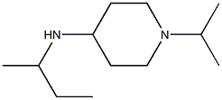 N-(butan-2-yl)-1-(propan-2-yl)piperidin-4-amine 结构式