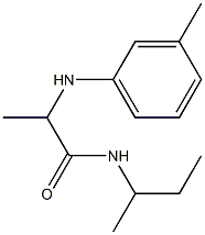 N-(butan-2-yl)-2-[(3-methylphenyl)amino]propanamide 结构式