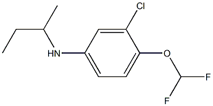 N-(butan-2-yl)-3-chloro-4-(difluoromethoxy)aniline 结构式