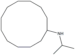 N-(propan-2-yl)cyclododecanamine 结构式