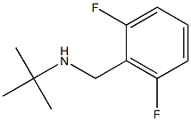 N-(tert-butyl)-N-(2,6-difluorobenzyl)amine 结构式