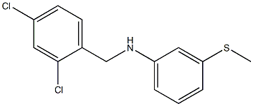 N-[(2,4-dichlorophenyl)methyl]-3-(methylsulfanyl)aniline 结构式