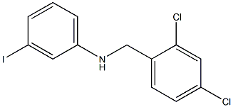 N-[(2,4-dichlorophenyl)methyl]-3-iodoaniline 结构式