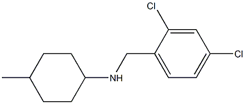 N-[(2,4-dichlorophenyl)methyl]-4-methylcyclohexan-1-amine 结构式