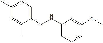N-[(2,4-dimethylphenyl)methyl]-3-methoxyaniline 结构式