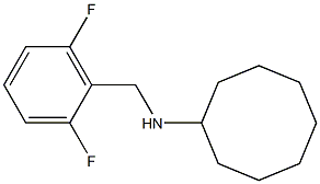 N-[(2,6-difluorophenyl)methyl]cyclooctanamine 结构式