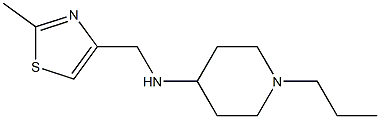 N-[(2-methyl-1,3-thiazol-4-yl)methyl]-1-propylpiperidin-4-amine 结构式