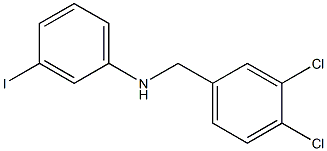 N-[(3,4-dichlorophenyl)methyl]-3-iodoaniline 结构式