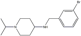 N-[(3-bromophenyl)methyl]-1-(propan-2-yl)piperidin-4-amine 结构式