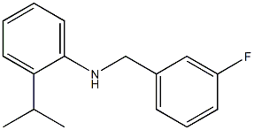 N-[(3-fluorophenyl)methyl]-2-(propan-2-yl)aniline 结构式