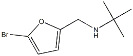 N-[(5-bromo-2-furyl)methyl]-N-(tert-butyl)amine 结构式