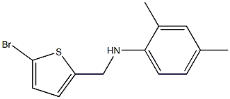 N-[(5-bromothiophen-2-yl)methyl]-2,4-dimethylaniline 结构式