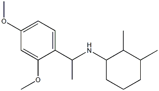 N-[1-(2,4-dimethoxyphenyl)ethyl]-2,3-dimethylcyclohexan-1-amine 结构式
