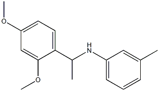 N-[1-(2,4-dimethoxyphenyl)ethyl]-3-methylaniline 结构式