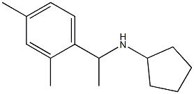 N-[1-(2,4-dimethylphenyl)ethyl]cyclopentanamine 结构式