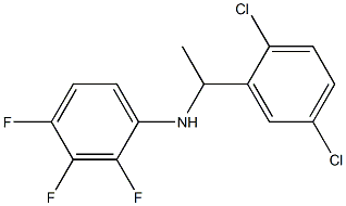 N-[1-(2,5-dichlorophenyl)ethyl]-2,3,4-trifluoroaniline 结构式