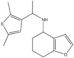 N-[1-(2,5-dimethylthiophen-3-yl)ethyl]-4,5,6,7-tetrahydro-1-benzofuran-4-amine 结构式