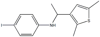 N-[1-(2,5-dimethylthiophen-3-yl)ethyl]-4-iodoaniline 结构式