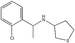 N-[1-(2-chlorophenyl)ethyl]thiolan-3-amine 结构式