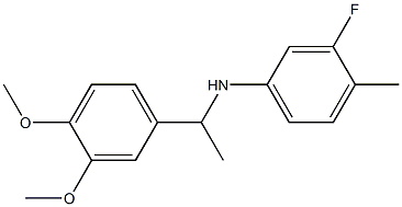 N-[1-(3,4-dimethoxyphenyl)ethyl]-3-fluoro-4-methylaniline 结构式