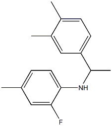 N-[1-(3,4-dimethylphenyl)ethyl]-2-fluoro-4-methylaniline 结构式