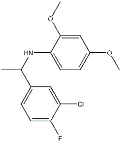 N-[1-(3-chloro-4-fluorophenyl)ethyl]-2,4-dimethoxyaniline 结构式