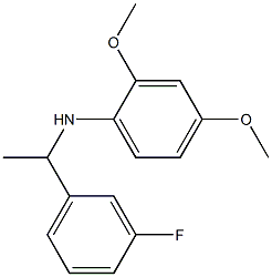 N-[1-(3-fluorophenyl)ethyl]-2,4-dimethoxyaniline 结构式