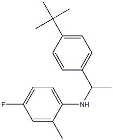 N-[1-(4-tert-butylphenyl)ethyl]-4-fluoro-2-methylaniline 结构式