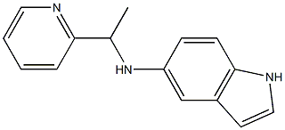 N-[1-(pyridin-2-yl)ethyl]-1H-indol-5-amine 结构式