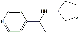 N-[1-(pyridin-4-yl)ethyl]thiolan-3-amine 结构式