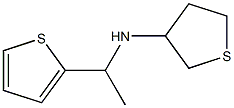 N-[1-(thiophen-2-yl)ethyl]thiolan-3-amine 结构式