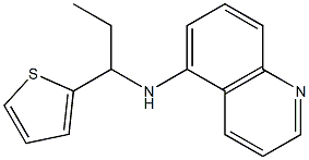 N-[1-(thiophen-2-yl)propyl]quinolin-5-amine 结构式