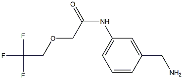 N-[3-(aminomethyl)phenyl]-2-(2,2,2-trifluoroethoxy)acetamide 结构式