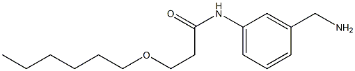 N-[3-(aminomethyl)phenyl]-3-(hexyloxy)propanamide 结构式