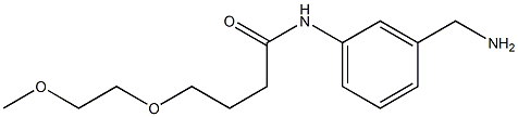 N-[3-(aminomethyl)phenyl]-4-(2-methoxyethoxy)butanamide 结构式