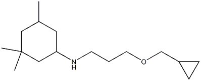 N-[3-(cyclopropylmethoxy)propyl]-3,3,5-trimethylcyclohexan-1-amine 结构式