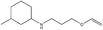 N-[3-(ethenyloxy)propyl]-3-methylcyclohexan-1-amine 结构式